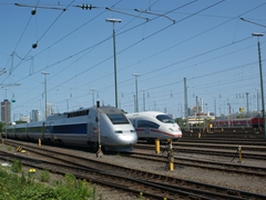 Vergleichsstudie TGV ICE 3